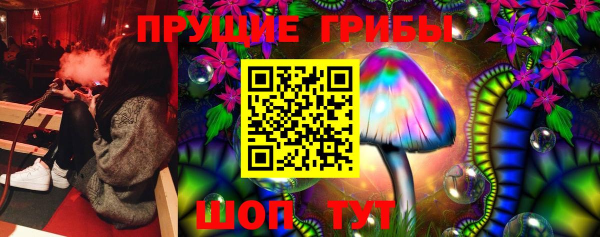 Псилоцибиновые грибы мухоморы  Вход с VPN  Братск  Галлюциногенные грибы прущие грибы 